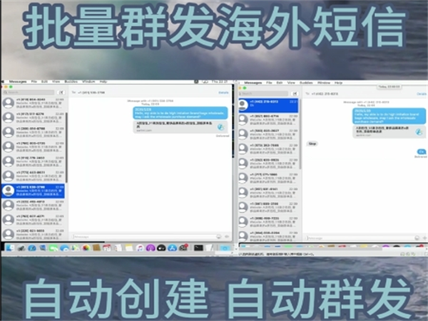 78175817.png 427.png