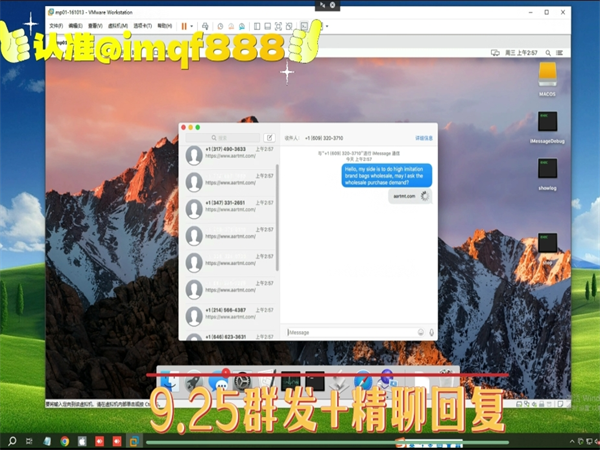 49209277.png 205.png